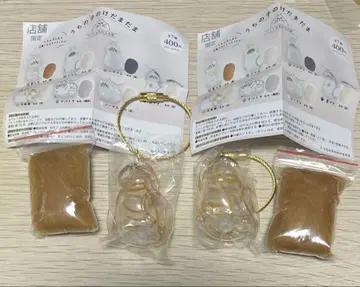 [정품] 우리 아이 털뭉치 브라운 태비 2개점 한정판