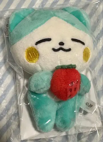 ITZY POPUP 팝업 TWINZY 리아 LILI 봉제 인형