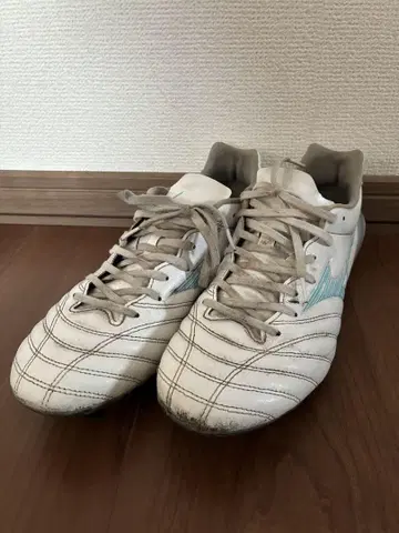 미즈노 모나르시다 네오 3 프로 26.0cm