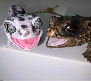 레오파드와 아르마딜로 도마뱀 피규어 2체 세트