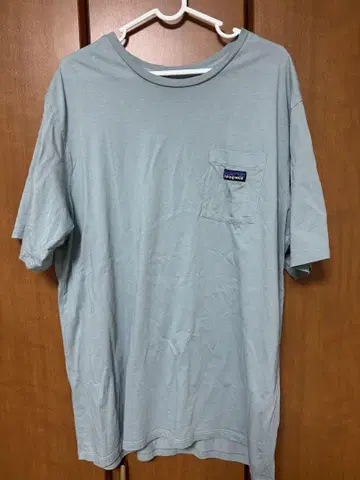 Patagonia 포켓 크루넥 반팔 T셔츠 53255 남성용