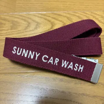 SUNNY CAR WASH GI 벨트