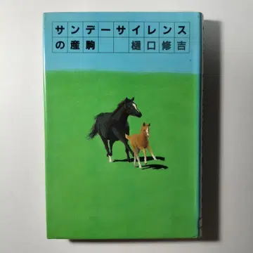 선데이 사일런스의 산구