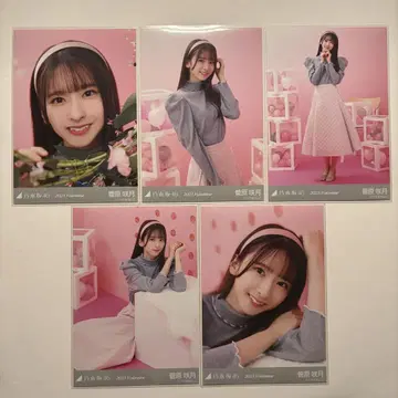 노기자카46 스가와라 사츠키 발렌타인 2023년 브로마이드 5종 컴프
