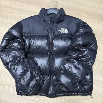 THE NORTH FACE 눕시 다운 자켓