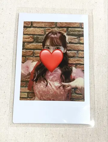 이기가리 도호쿠산 다테 하나아야 폴라로이드