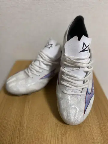 미즈노 알파 PRO 25.0