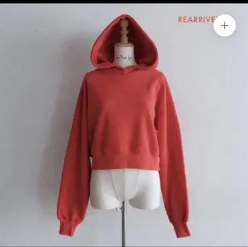 searoomlynn 쇼트 후디 후드티 애플