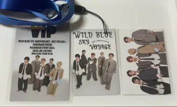 WILDBLUE 업그레이드 한정판 트레이딩 카드 VIP 패스