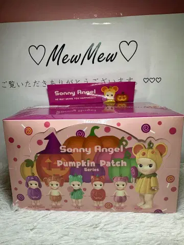 소니 엔젤 호박 패치 모듬 슈링크 포함