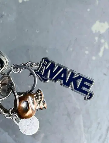 WAKE sapporo KEYCHAIN 키링