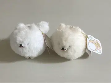 꼬리 살랑살랑! 멍멍즈 포메라니안 흰색 포메 크림색 포메 세트