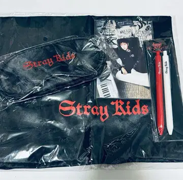 StrayKids dominATE 유럽 vip 혜택 굿즈