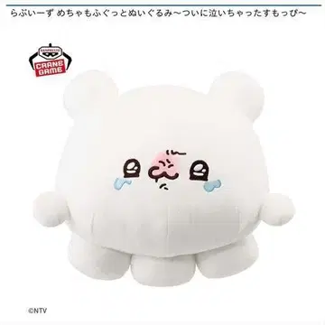울고 있는 곰 봉제 인형 약 30cm