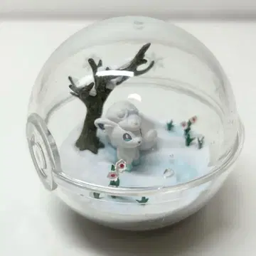 알로라 로콘 포켓몬스터 선&문 테라리움 컬렉션 EX