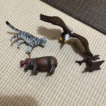 아니아 타카 하마 하마 고양이? 세트