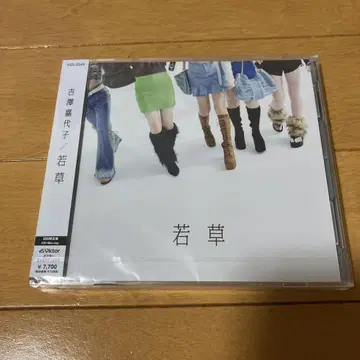 요시자와 카요코*와카쿠사*