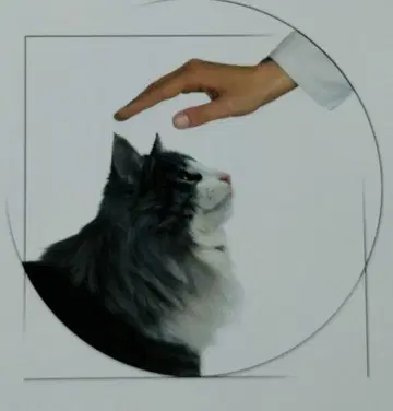 Feline Clinical Nutrition 고양이 임상 영양