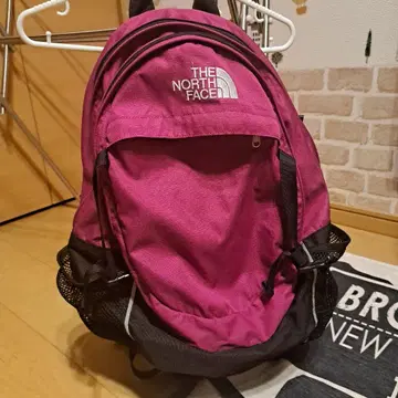 THE NORTH FACE 백팩 핑크