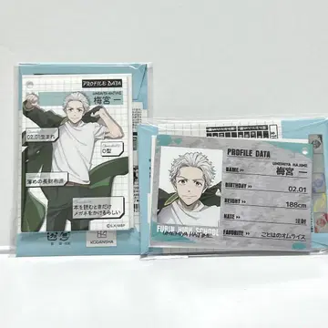 우메미야 하지메 WIND BREAKER 프로필 카드 키링