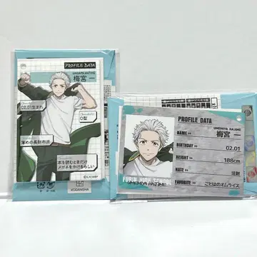 우메미야 하지메 WIND BREAKER 프로필 카드 키링