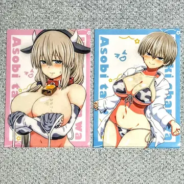 우자키 양은 놀고 싶어! 클리어 파일 12권 13권 혜택