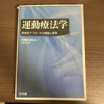 운동치료학 이치하시 노리아키 저 문광당