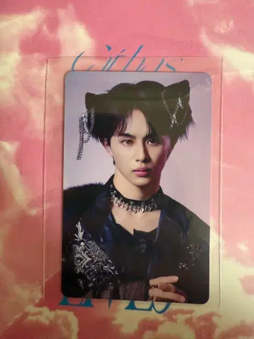 초특급 NINE LIVES 타쿠야 타워 레코드 점포 특전 트레이딩 카드