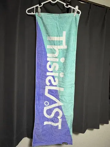 ThisisLAST 타월
