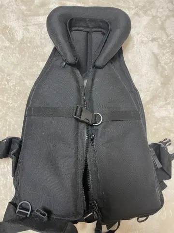 아피아 가넷