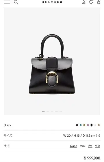 안심 감정 델보 DELVAUX 브리옹 미니 박스 카프 블랙