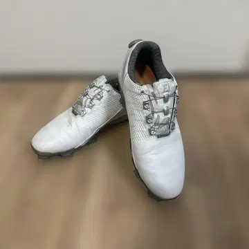 풋조이 골프화 보아 25.0