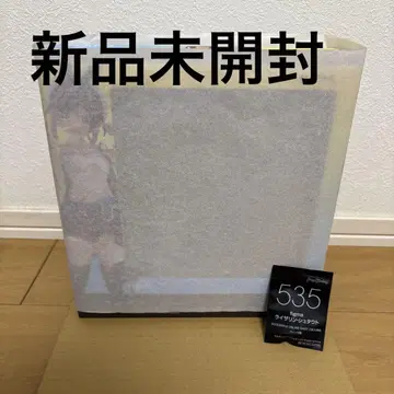 미개봉 새상품 figma 라이자린 슈타우트 특전 포함