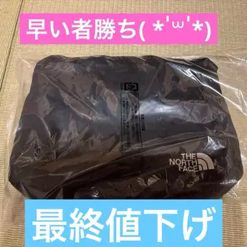 THE NORTH FACE 미사용 새상품 블랙 숄더백