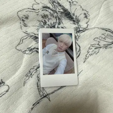 요타 하피카