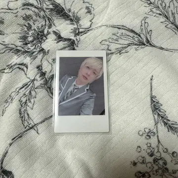 요타 하피카