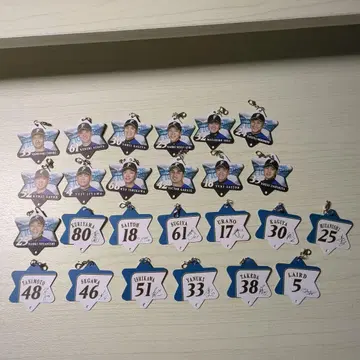 닛햄 파이터즈 선수명 택 세트