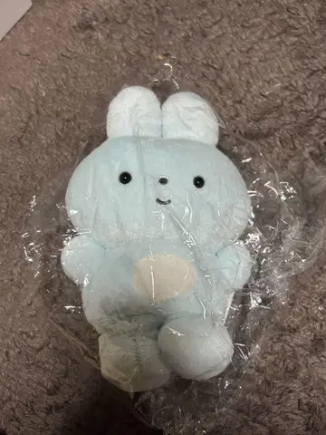 봉제 인형 포칸토 나란히 포칸토 봉제 인형 포칸토 무슨 일이야 테마