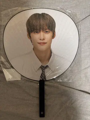 RIIZE 은석 부채