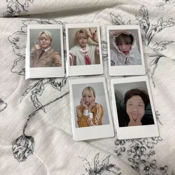하피카 주식회사 DD