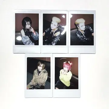 달콤한 폭력 폴라로이드