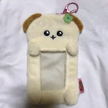 최고심 트레이딩 카드 케이스 클로버 강아지