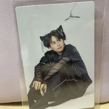 초특급 ninelives 멤버 솔로반 트레이딩 카드