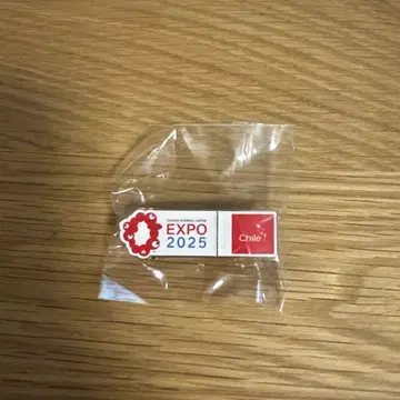 EXPO 2025 칠레 로고 핀 배지