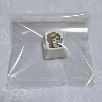 브이스포!*영 리사 VGGC 키캡