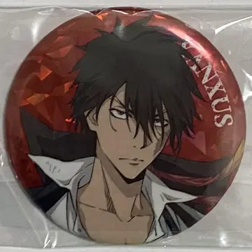 가정교사 히트맨 REBORN! 히코쿠지 홀로그램 캔뱃지 XANXAS