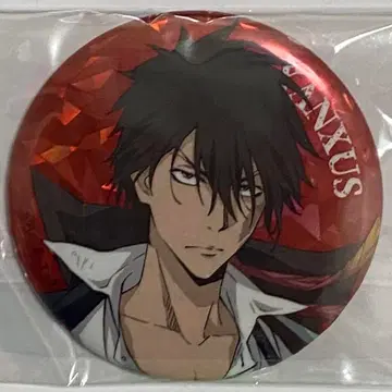 가정교사 히트맨 REBORN! 히코쿠지 홀로그램 캔뱃지 XANXAS