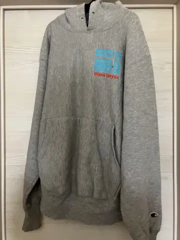 GrandCanyon Champion 더블 네임 후드티 리버스 90s