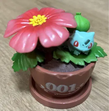 포켓몬 보타니컬 이상해씨