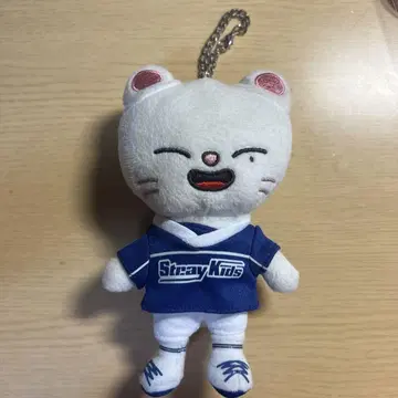 Stray Kids 봉제 인형 키링